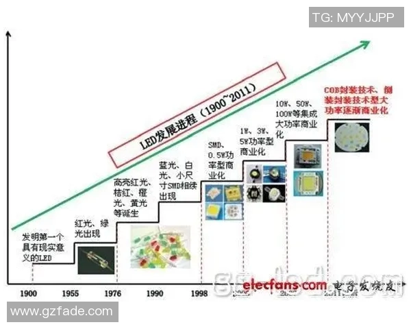 深圳排球队实力分析与未来发展趋势探讨